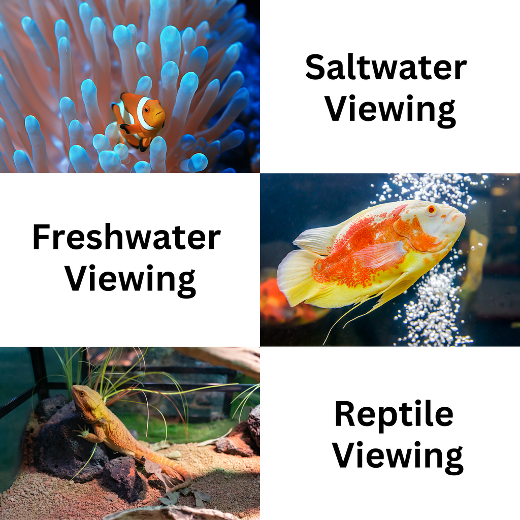 Flipper DeepSee Viewer Max 5" Magnified Viewer for Aquariums