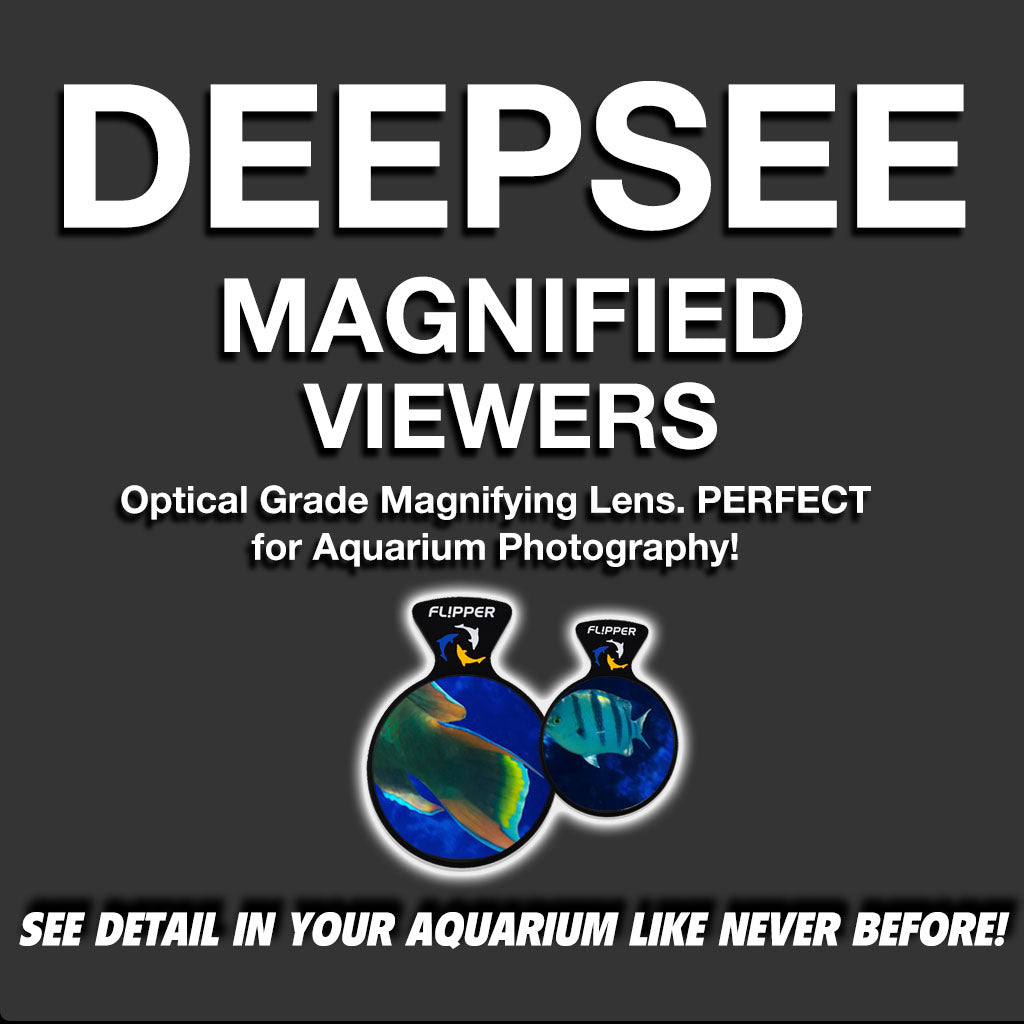 Flipper DeepSee Viewers