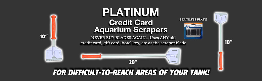 Flipper Platinum Scrapers